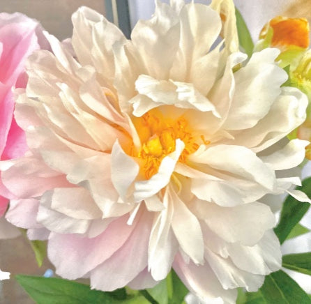 *MIXED BULK PEONY FLOWER SERIES. CARDS X 50 MP