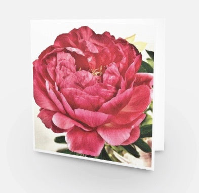 *MIXED BULK PEONY FLOWER SERIES. CARDS X 50 MP