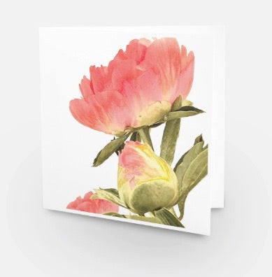 PEONY FLOWER ART SERIES (NO 13) X 10 CARDS MP